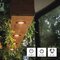 LED žiarovka Classic MR16 / GU10 / 7 W (60 W) / 806 lm / neutrálna biela