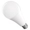 LED žiarovka Classic A80 / E27 / 20 W (150 W) / 2452 lm / Studená biela