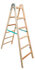 4906 (DDP-6) Drevený rebrík dvojdielny /PREMIUM/ PROFI