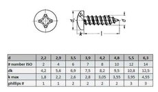 Šroub 4.2x13  DIN 7981C ZB