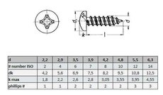 Skr DIN7981C  2.2x6,5 A2