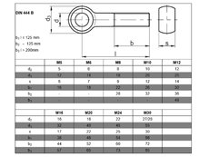 Skr DIN 444B M20x100  A2